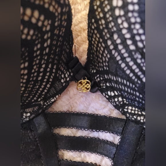 Daisy Fuentes 34b lace corset bra - Picture 7 of 9